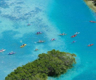 Dossier thématique : La Floride