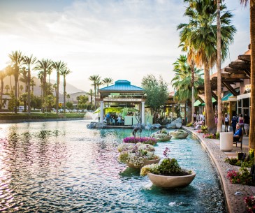 Dossier thématique : Palm Springs