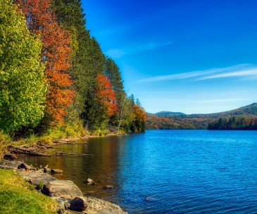 Dossier thématique : Le Vermont