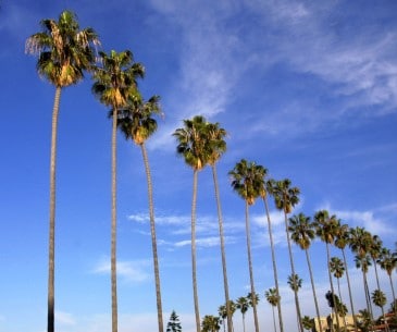 Dossier thématique : La Californie du Sud