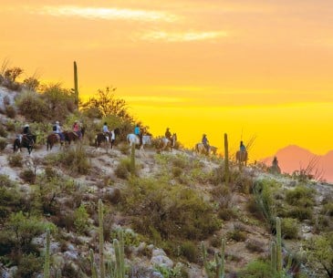 Image : Excursions autour de Tucson
