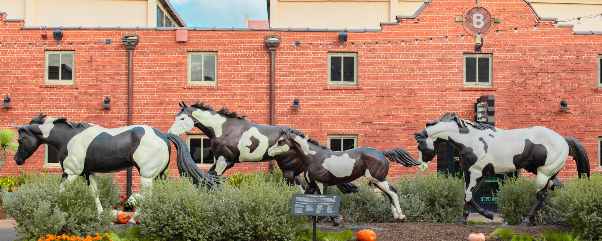 FortWorth_MuleAlley-1