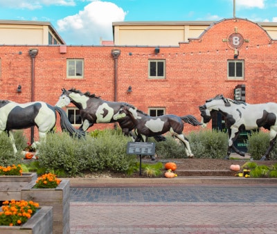 Image : Fort Worth