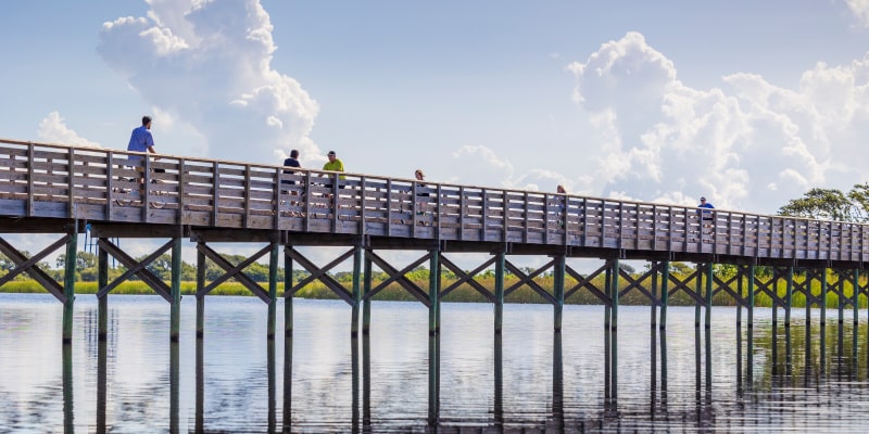 Gulf Shores and Orange Beach_11A7804-1