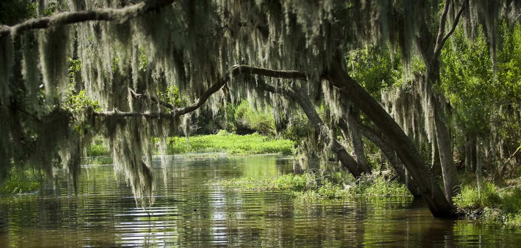 la louisiane