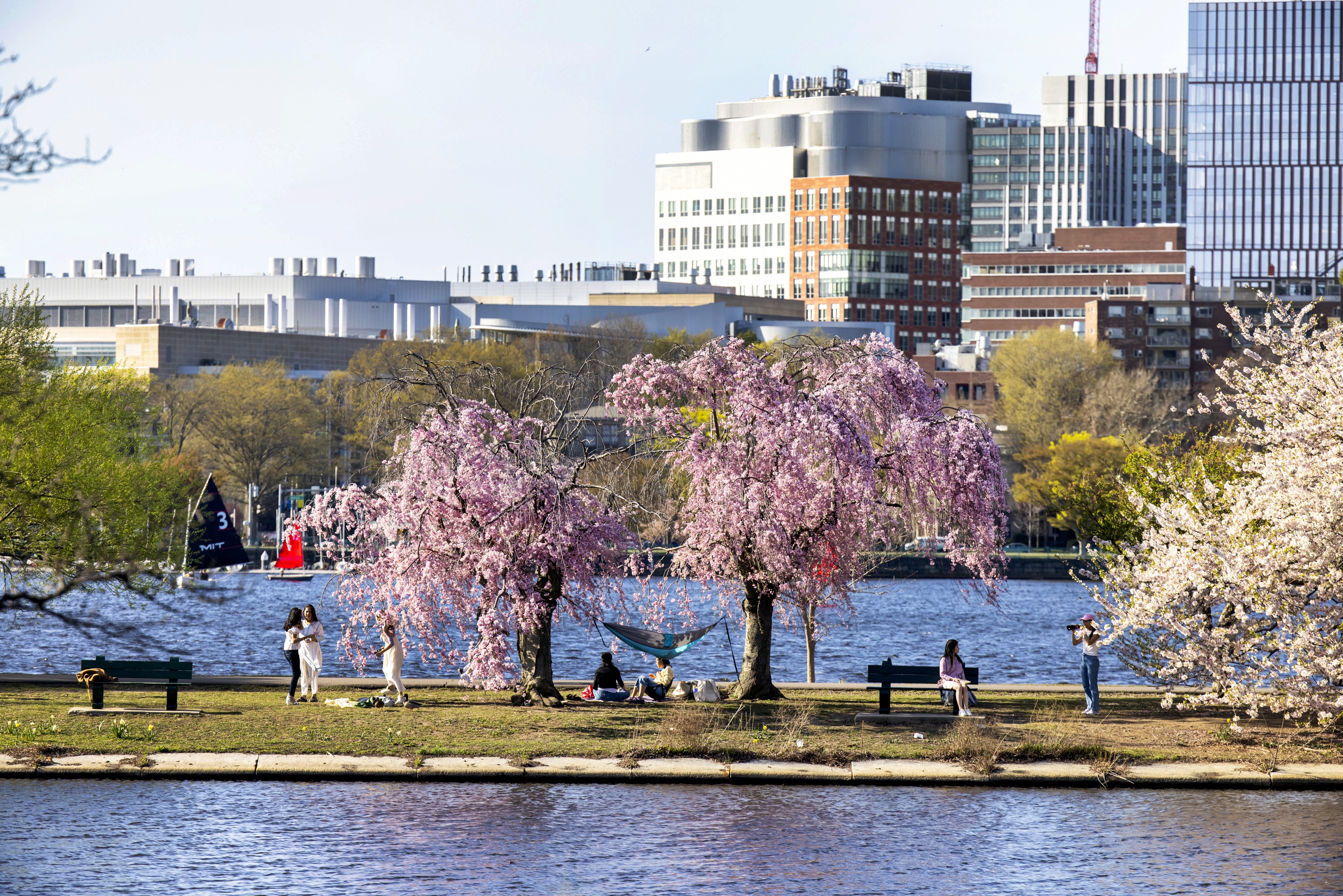 Massachusetts_Charles Esplanade_Boston_Kyle Klein
