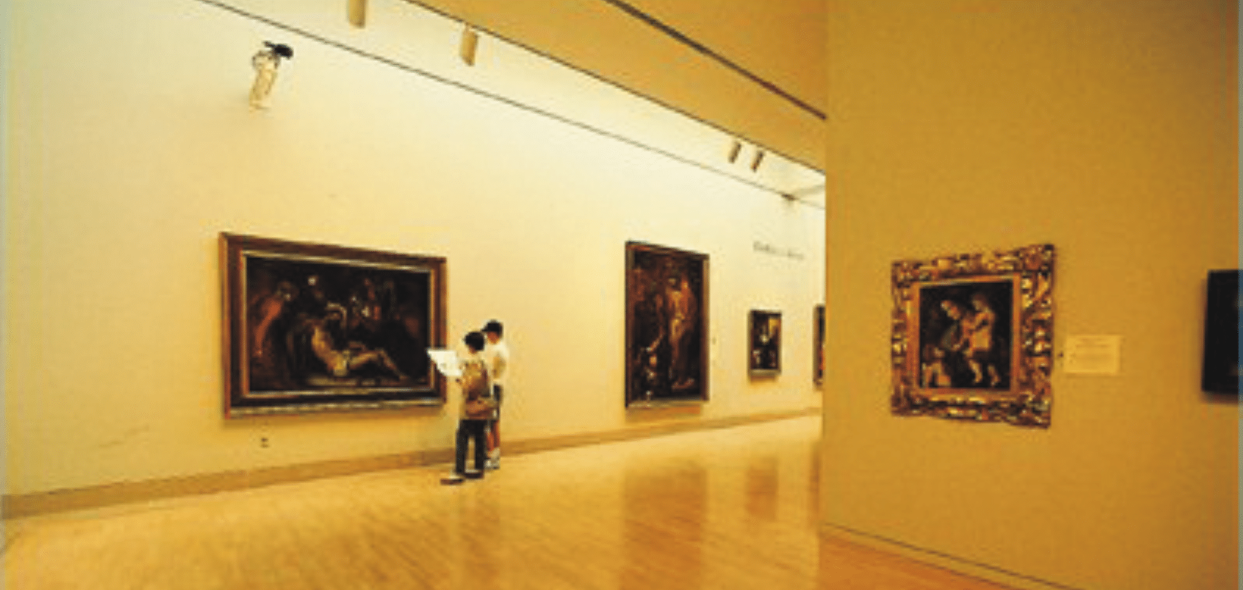 TravelTexas-Dallas-Museum-Of-Art-(2) 1800x855