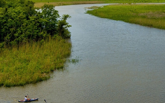 Image : Les safaris ecotours