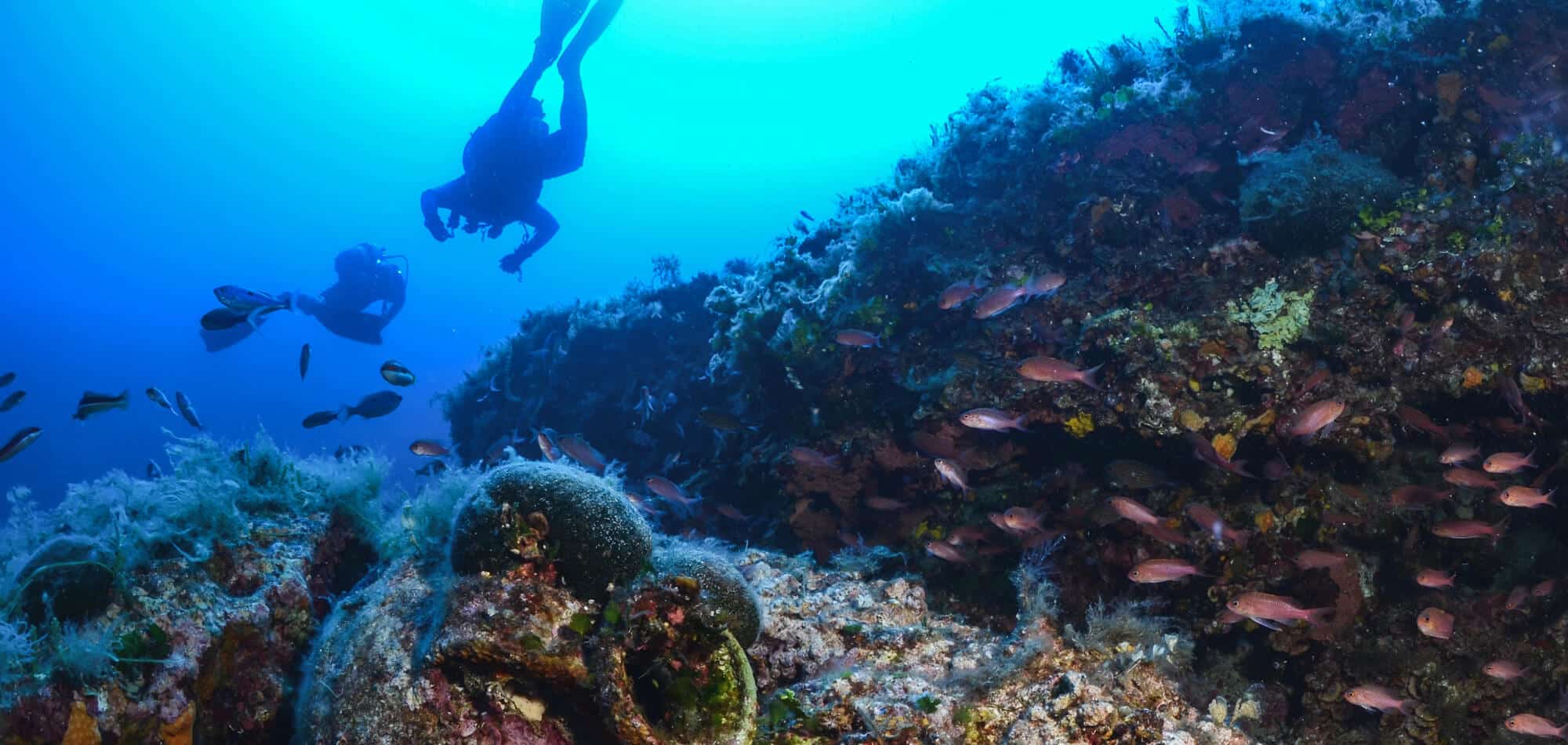 alabama-plongee_2000x950px