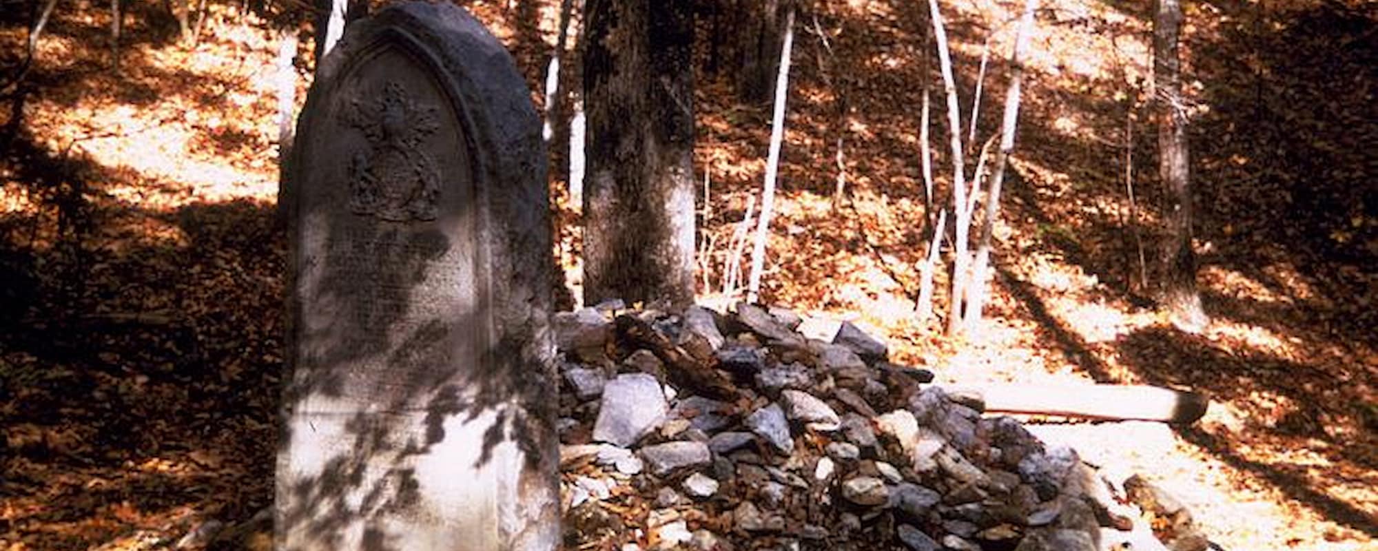 800px-Kings_Mountain_National_Park_KIMO0966-2000x800