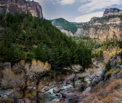Image : Bighorne National Forest