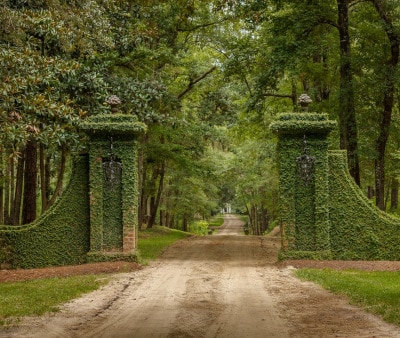 Image : Georgetown