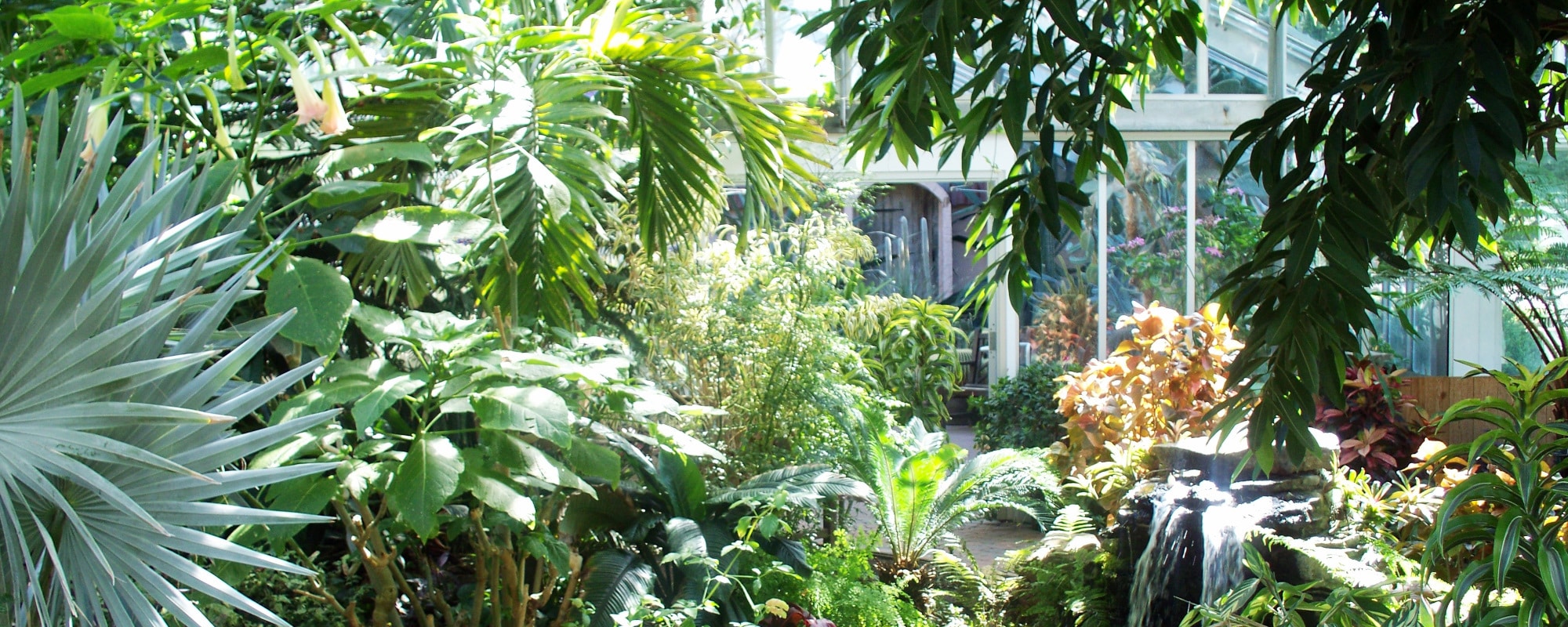 Highland Park Conservatory-2000x800