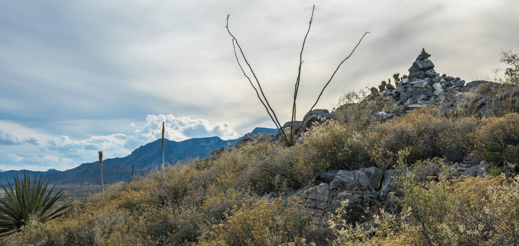 Kartchner Caverns State Park