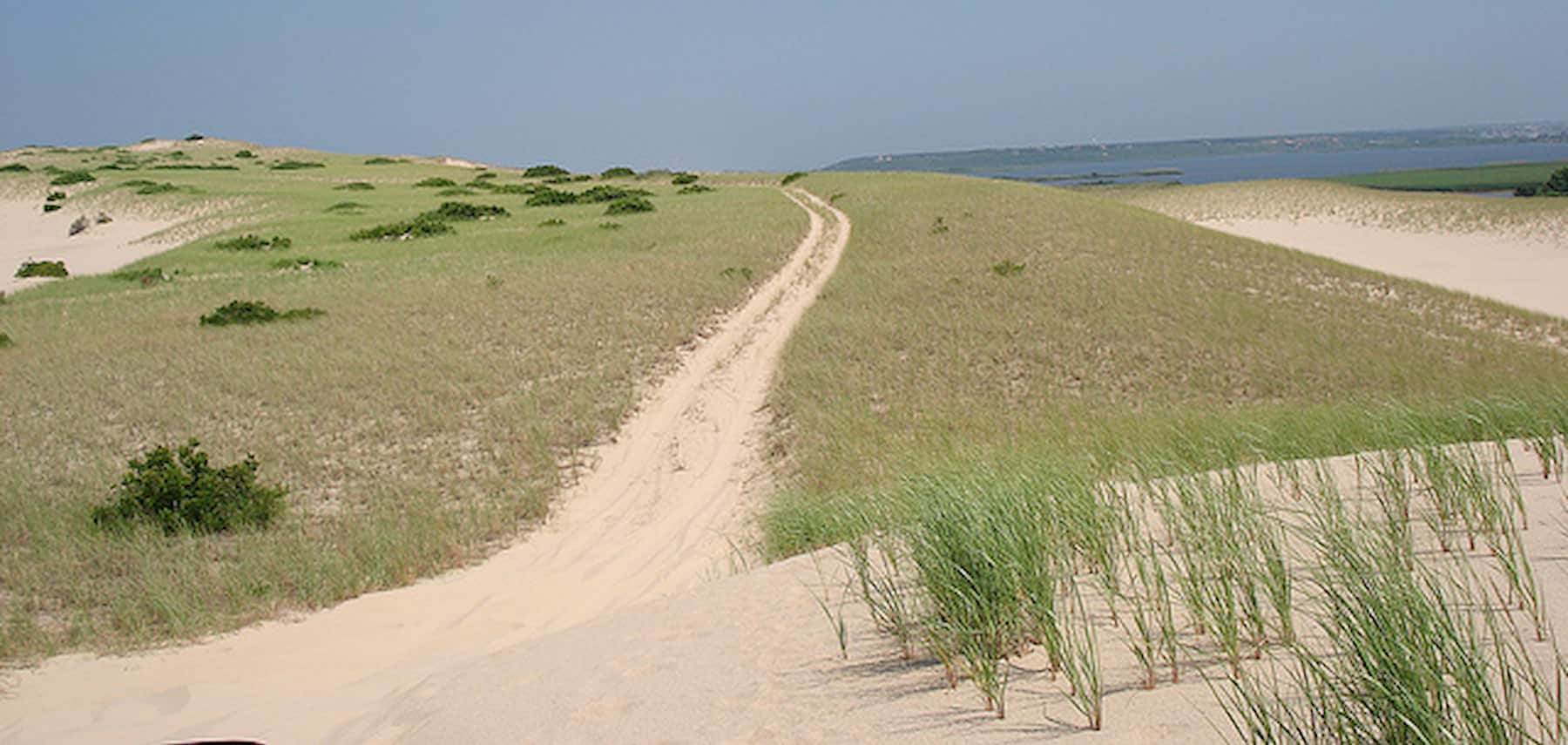 Massachusetts-CVB-Arts-Dunes-tour-credit-William-de-Sousa-Mauk 1800 855