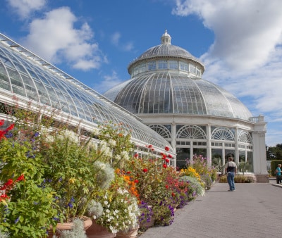 Image : New York Botanical Garden