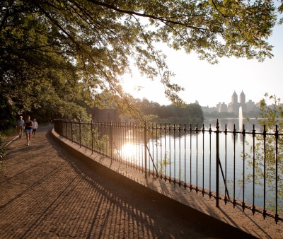 Image : Central Park