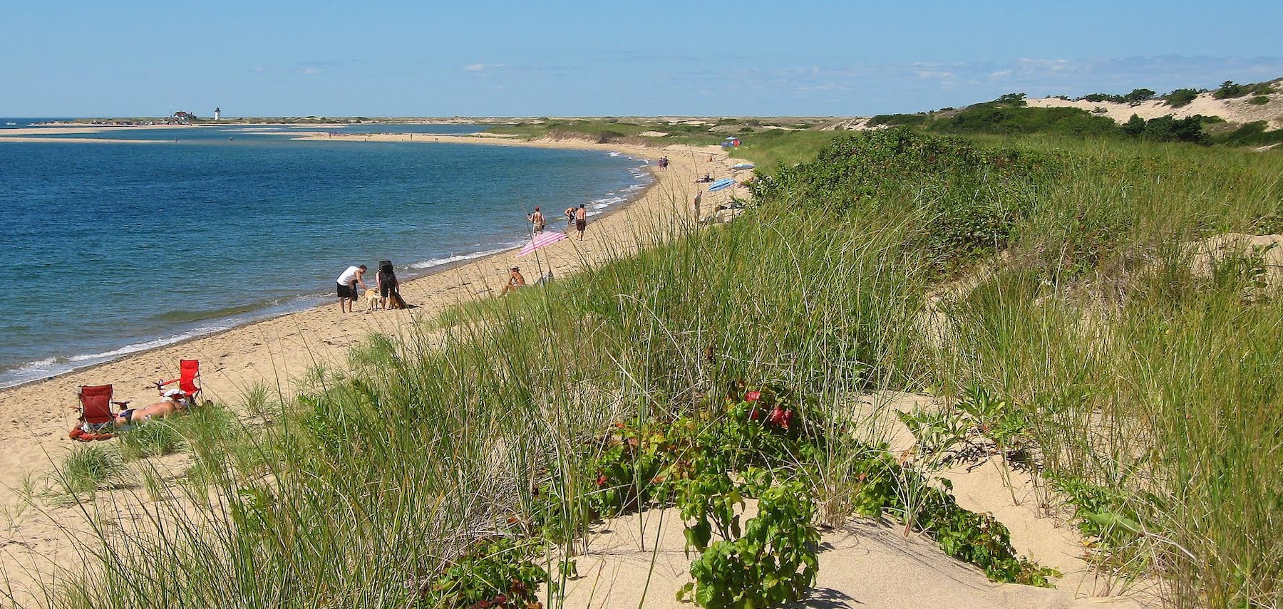 Provincetown 1800 855