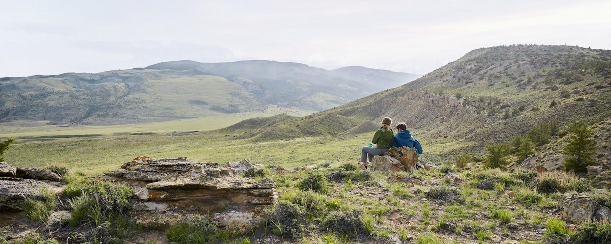 Shoshone forest-2000x800
