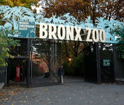 Image : Le Zoo et le Jardin Botanique du Bronx