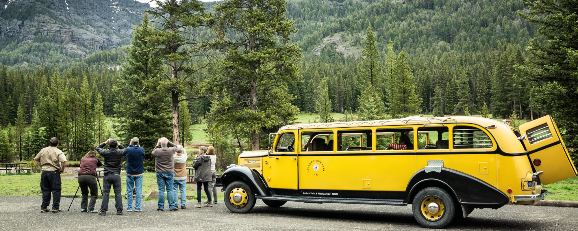 Yellow Bus Tour