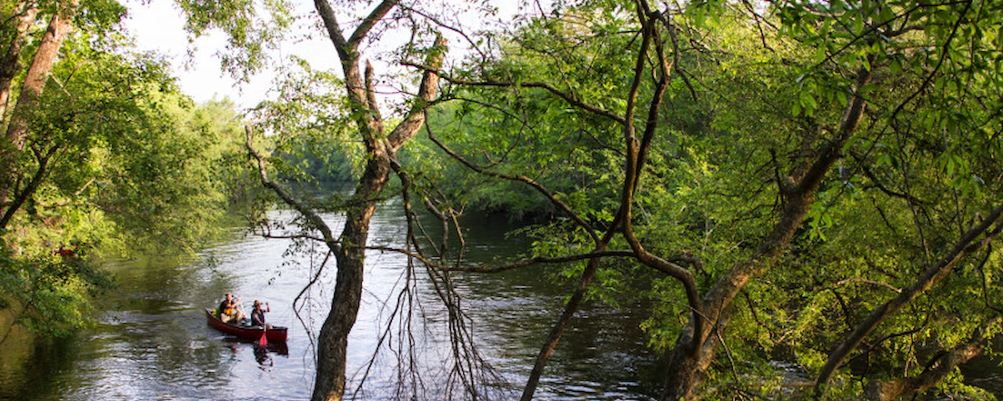 baker_Edisto 2000x800