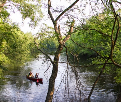 Image : Edisto State Park