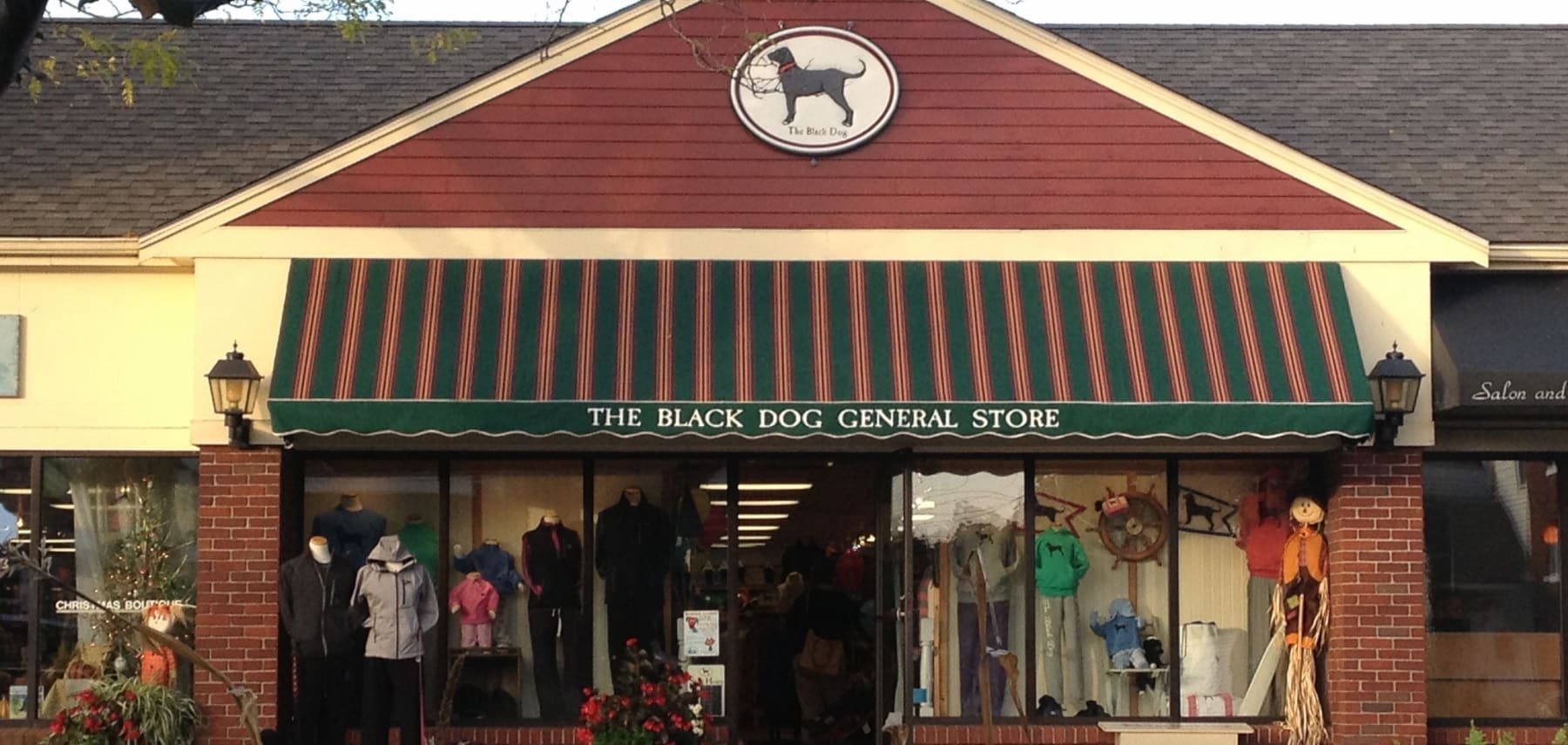 black dog store 1800 855