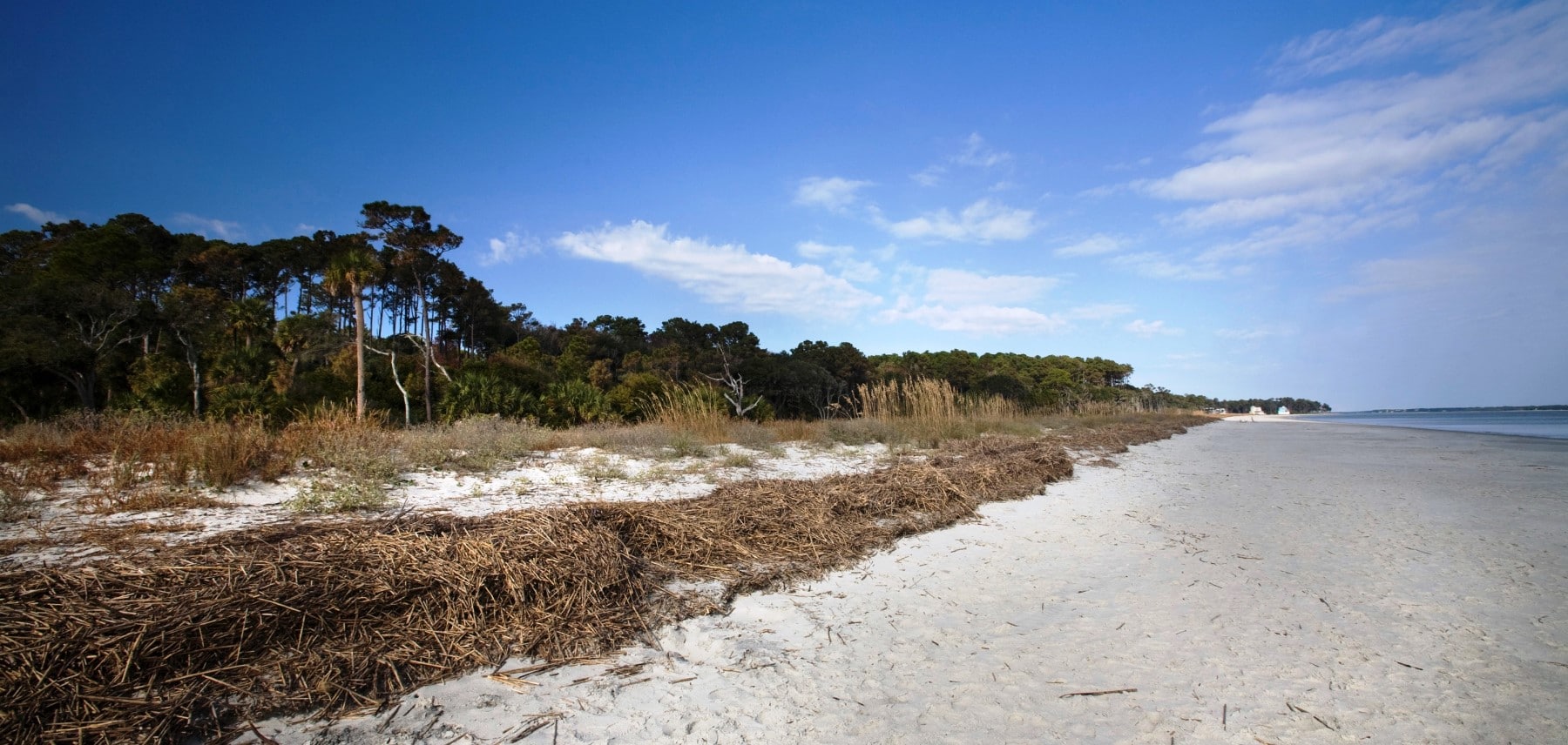 Caroline du Sud - Natural beach - daufuskie island