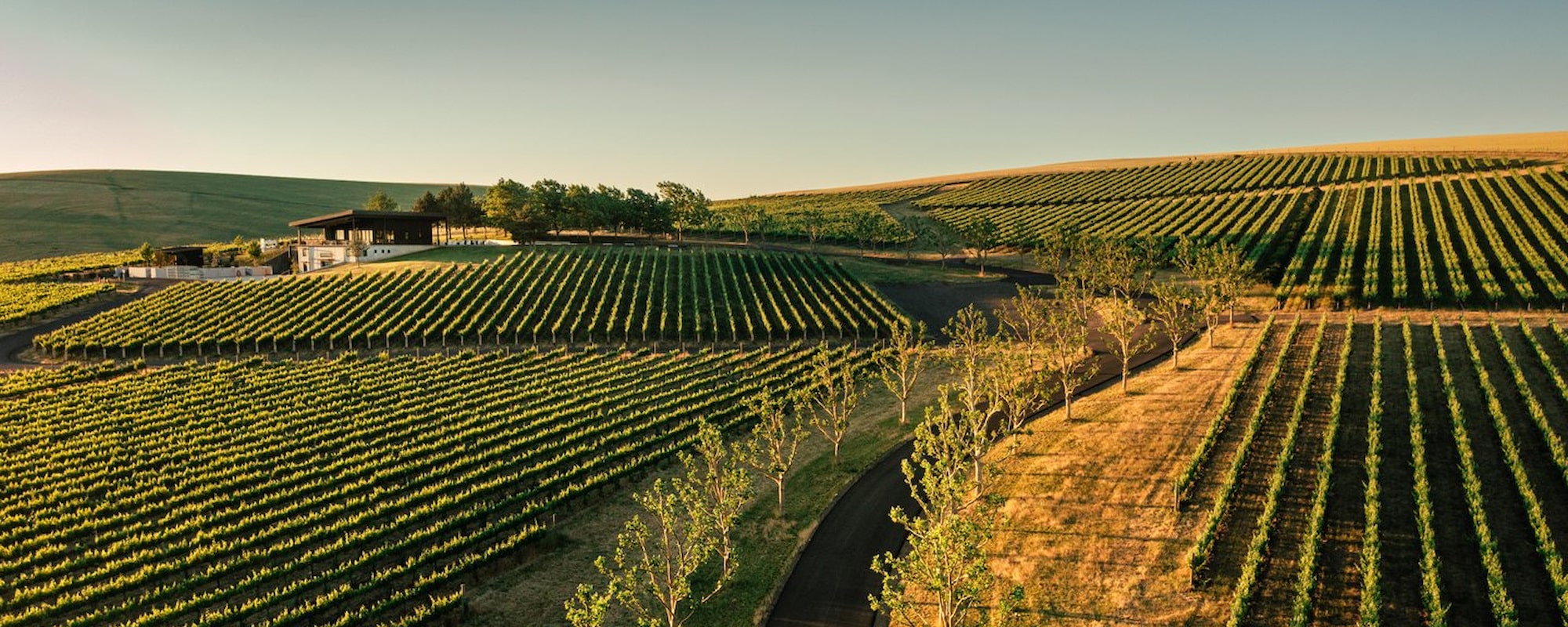 Walla Walla-2000X800