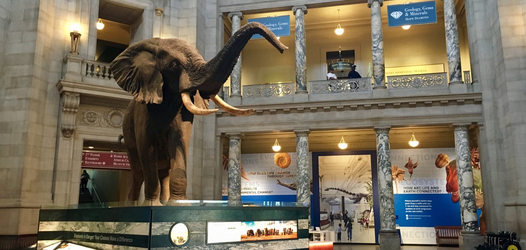 National Museum of Natural History courtesy of washington 1800