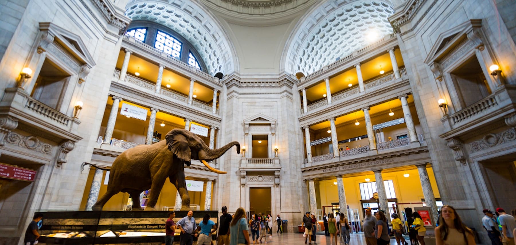 National Museum of Natural History courtesy of washington 2 1800 855