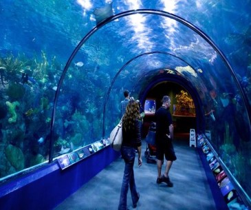 Image : Audubon Aquarium
