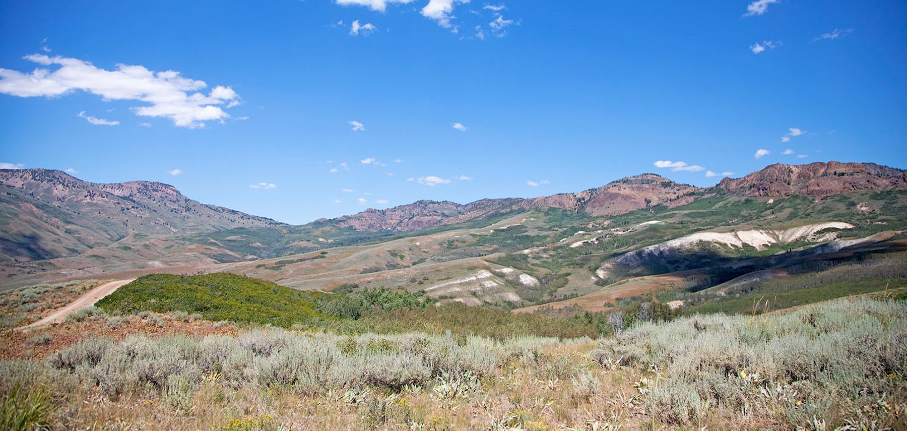 JarbidgeWilderness24