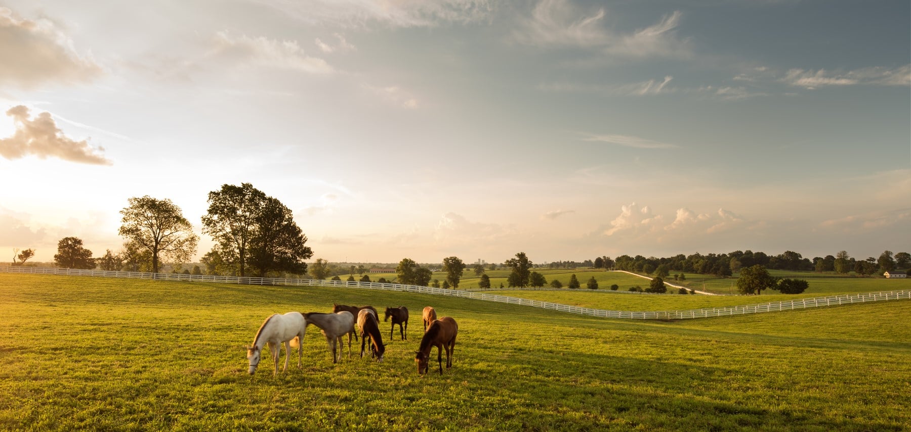 Kentucky 2