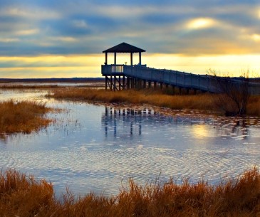 Image : Lake Charles