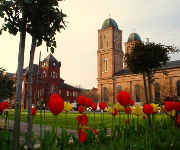 Image : Natchitoches