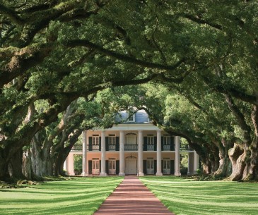 Image : Oak Alley Plantation