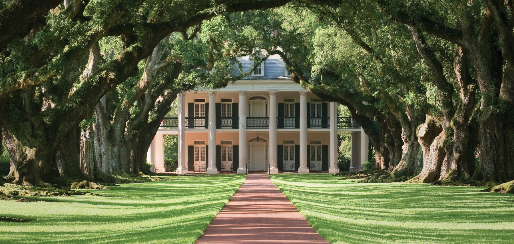 LOUISIANA-Oak-Alley