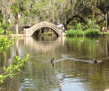 Image : New Orleans City Park