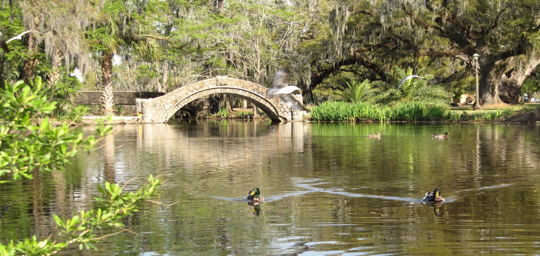 LOUISIANA-new-orleans-city-park