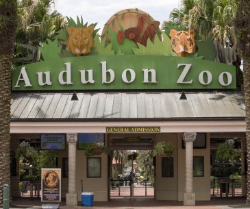 Image : Audubon Zoo