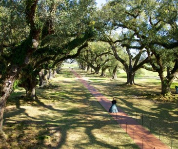 Image : Les plantations de Louisiane