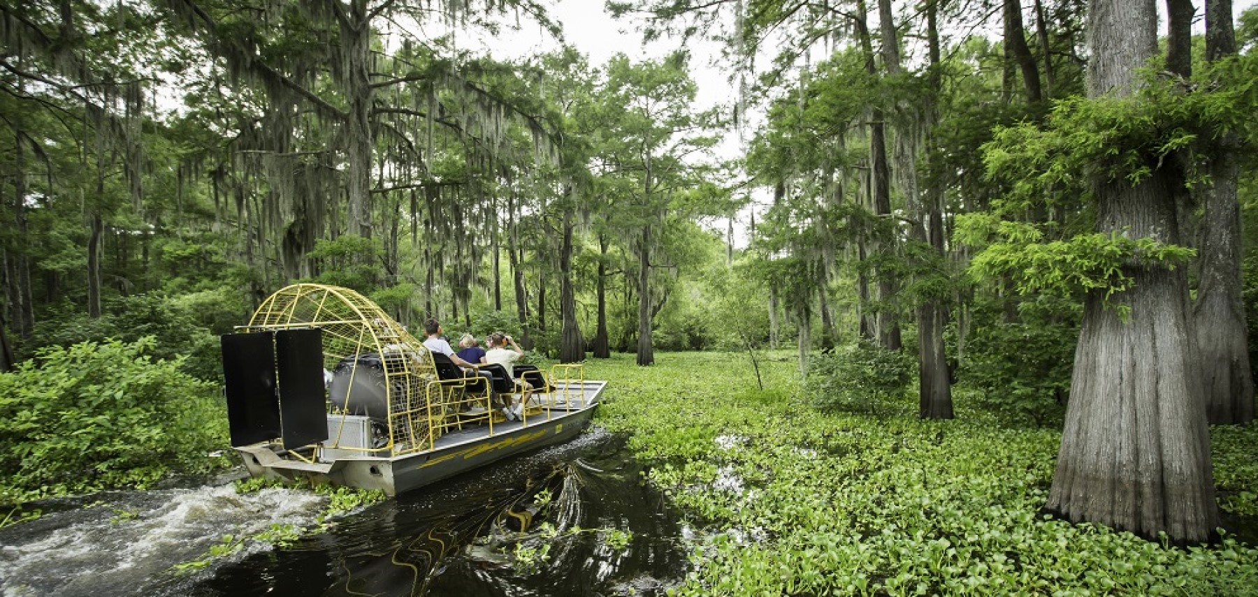 Louisiana-airboat-bayou
