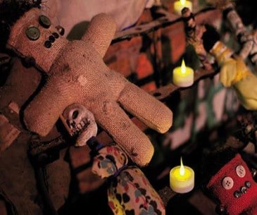 Image : New Orleans Historic Voodoo Museum