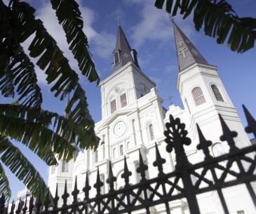 Image : La Cathédrale Saint Louis