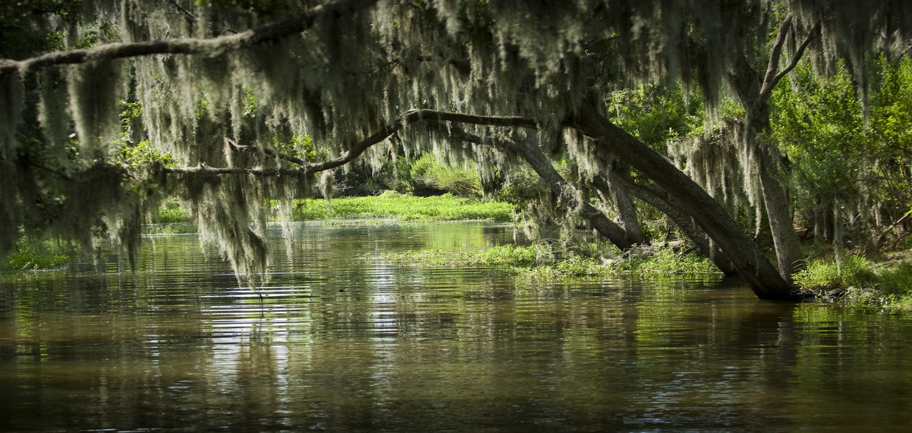Louisiane
