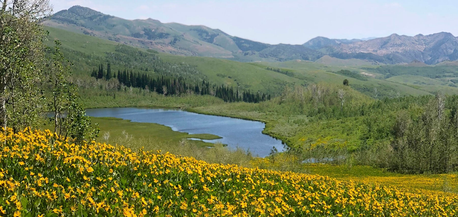 Nevada Jarbidge Wilderness Reserve 1800