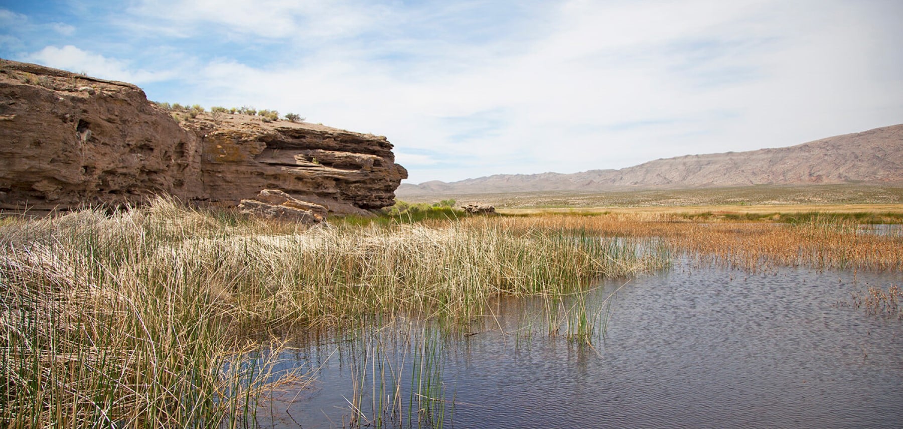 Nevada Pahranagat National Wildlife Refuge 1800