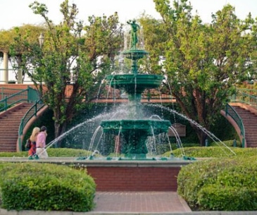 Image : Augusta